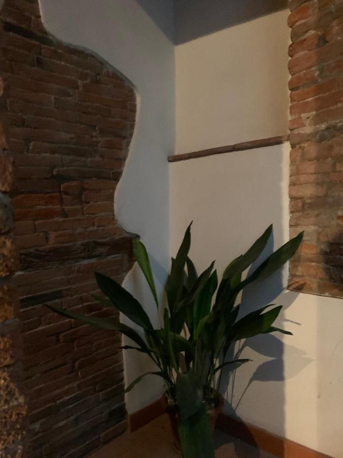 Appartamento Incantevole - Affitti Brevi Italia Lucca Eksteriør bilde